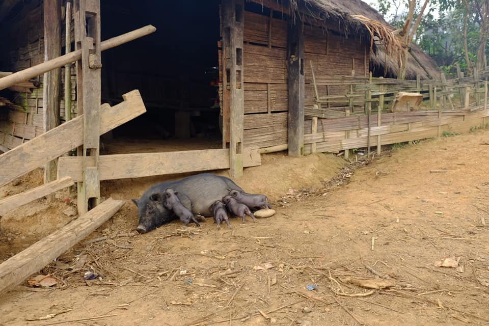 4 Days Muang Khoa Experience Hiking Tour